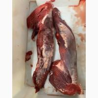 Продам Мясо говядины, вырезка