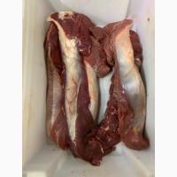 Продам Мясо говядины, вырезка