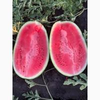 Продаємо кавун Леді, Карістан, Ісфахан