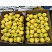 Продам Голден перший сорт