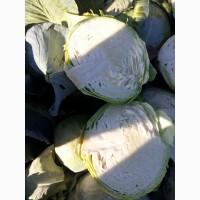 Продам капусту 2сорт.Днепр обл. Не дорого