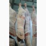 Продам говядину в полутушах, возможен Халяль на экспорт высочайшего качества