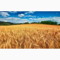 Продажа минеральных удобрений