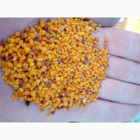 Продам пыльцу