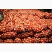 Куплю цибулю в будя-яких об#039;ємах