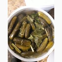 Огірок солений