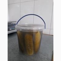 Огірок солений