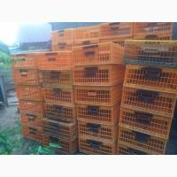 Продам клітки для курей, качок, гусей