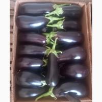 Продам Баклажаны