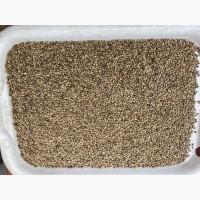 Конопля на масло