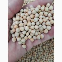Горох купимо. По всій країні. Дорого