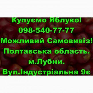 На постійній основі закуповуємо яблуко за конкурентною ціною