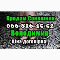 Реалізую соняшникове насіння у будь яких обсягах! можливо під заявку