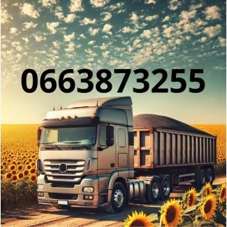 Закуповуємо соняшник на постійній основі