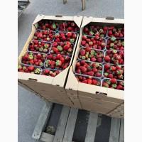 Продам полуницю