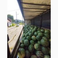 Продам солодкий кавун