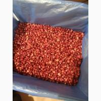 Куплю суницю лісову і садову заморожену