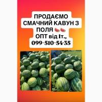 Продам 20 тонн смачного кавуна з поля