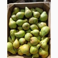 Продам грушу Нояберську