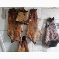 Купуємо сухі без жиру та мʼяса шкіри бобра та струю