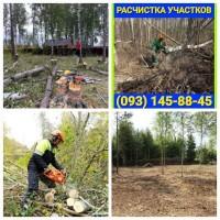 Расчистка участка Борисполь