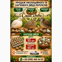 Продам домашні харчові перепилині яйця