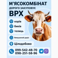 Куплю дорого ВРХ