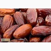 Продам Финик Роник, Финик Каб-каб, Финик Тунис