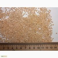 Продам просо серое, белое, чёрное