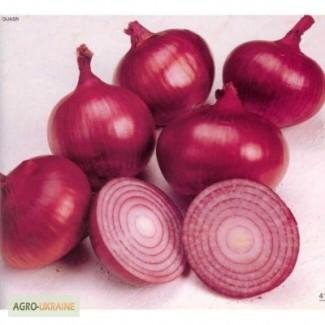 Продам семена Лук полуострый Веселка