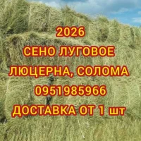 Сено в тюках с доставкой по Украине. Большие объёмы