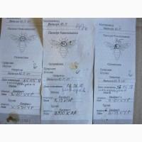 Продам пчёлы бджоли пакети сім#039;ї матки