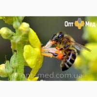 Закупівля МЕДУ у Вашій місцевості. Центральні обл