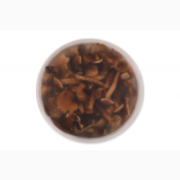 Мариновані гриби - маринована, солена продукція