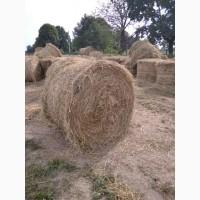 Продам сіно 2021р. Львівська обл