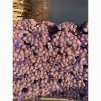 Продам картоплю