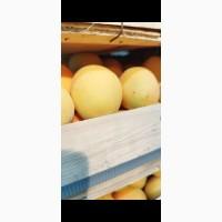 Продам молдавскую ананаску