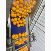 Барботажна ванна для делікатного миття продуктів STvega BW H2400