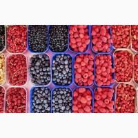 Маю покупців заморожених ягід від 20 тонн