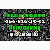 Підприємство реалізує соняшник