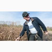 Агрозакупка Сою.гмо та без.по 1Ф по всій Україні