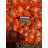Продам цибулю