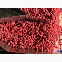 Продам заморожену малину, 80/20