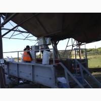 Дозатор ваговий у відкриті мішки СВЕДА ДВС-301-50-1