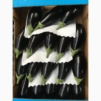 Производители Баклажан. Испания