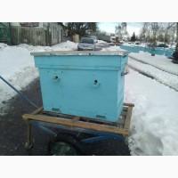 Продаем 37 пчелосемей