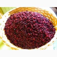 Продам сушеную горную бруснику(Закарпатье)