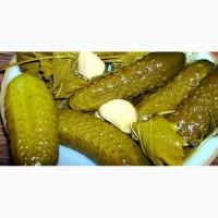 Продам огурец соленый