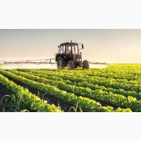 Семена сои MONSANTO Мaxus