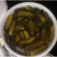 Продам соленый огурец